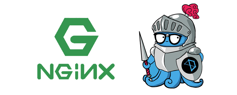 Nginx_logo